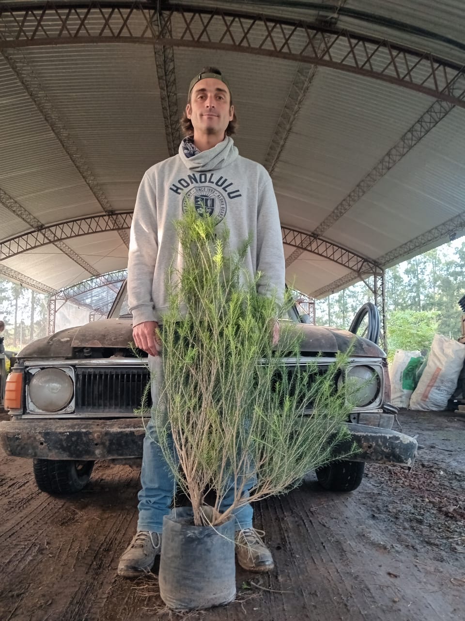 viveroiris.com.ar-IMG_0221