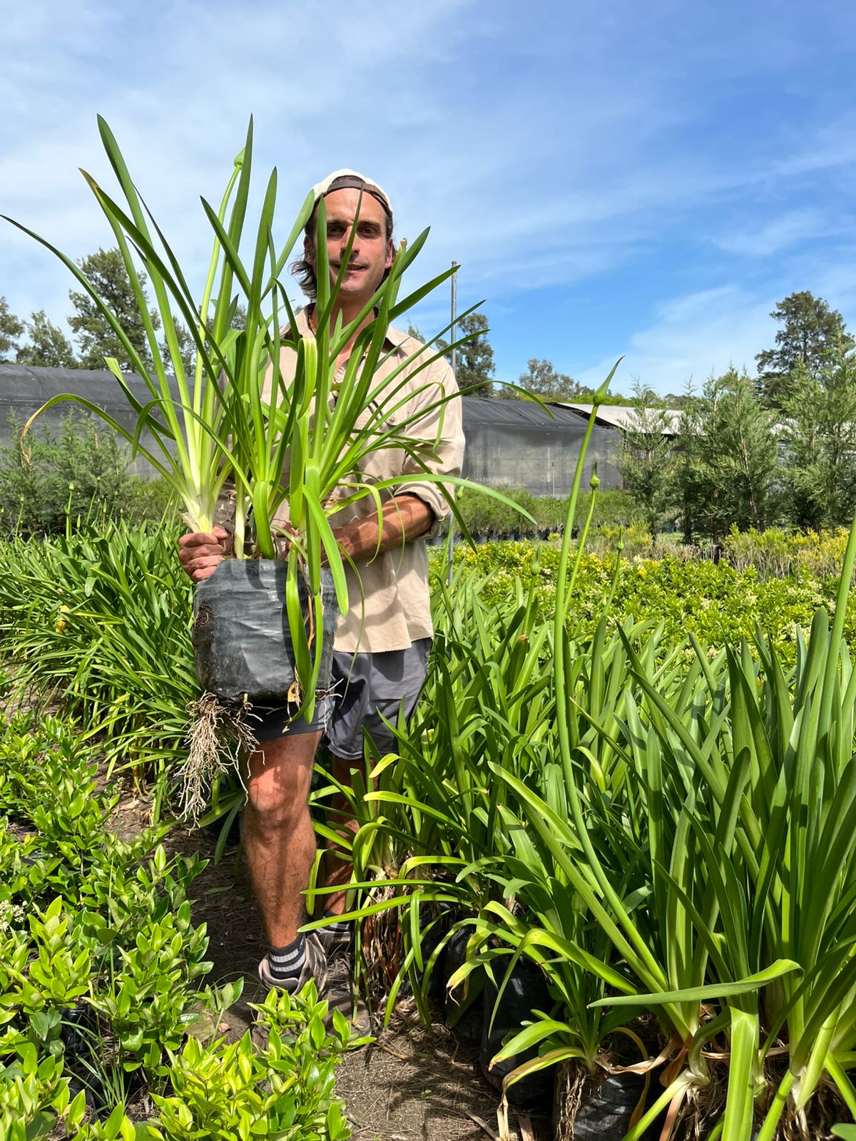 viveroiris.com.ar-IMG_0221