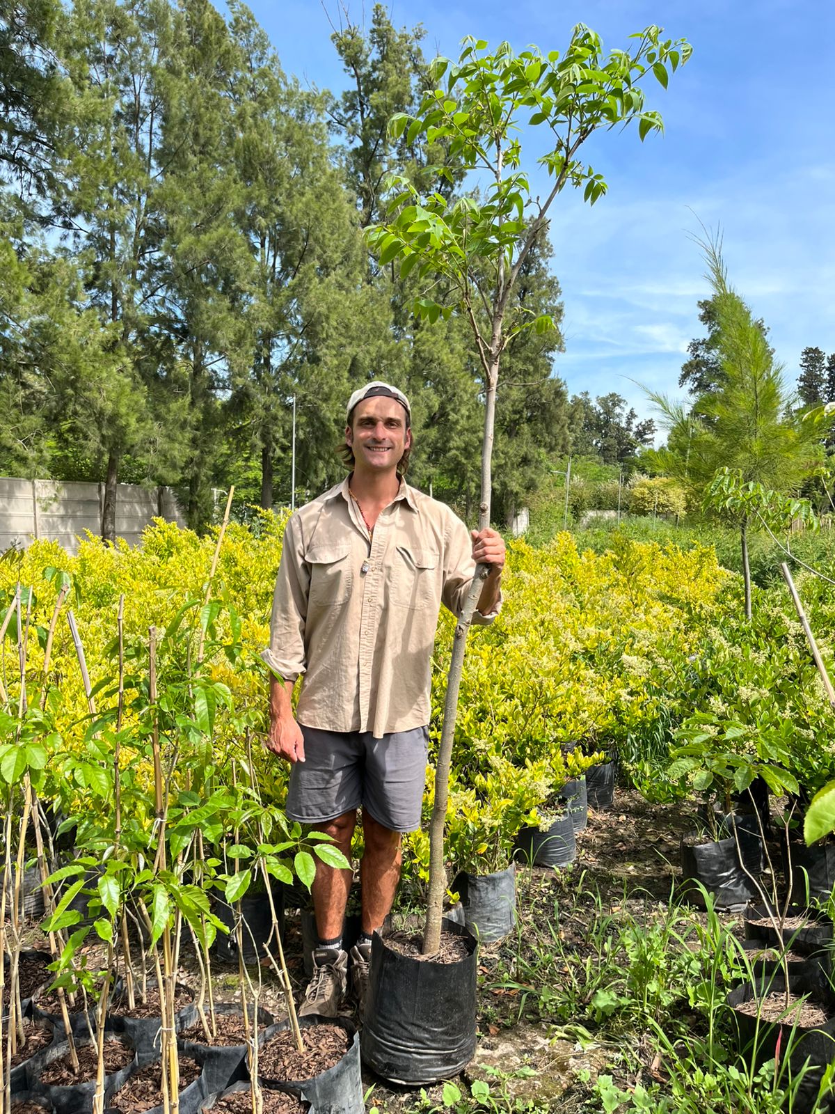 viveroiris.com.ar-IMG_0221