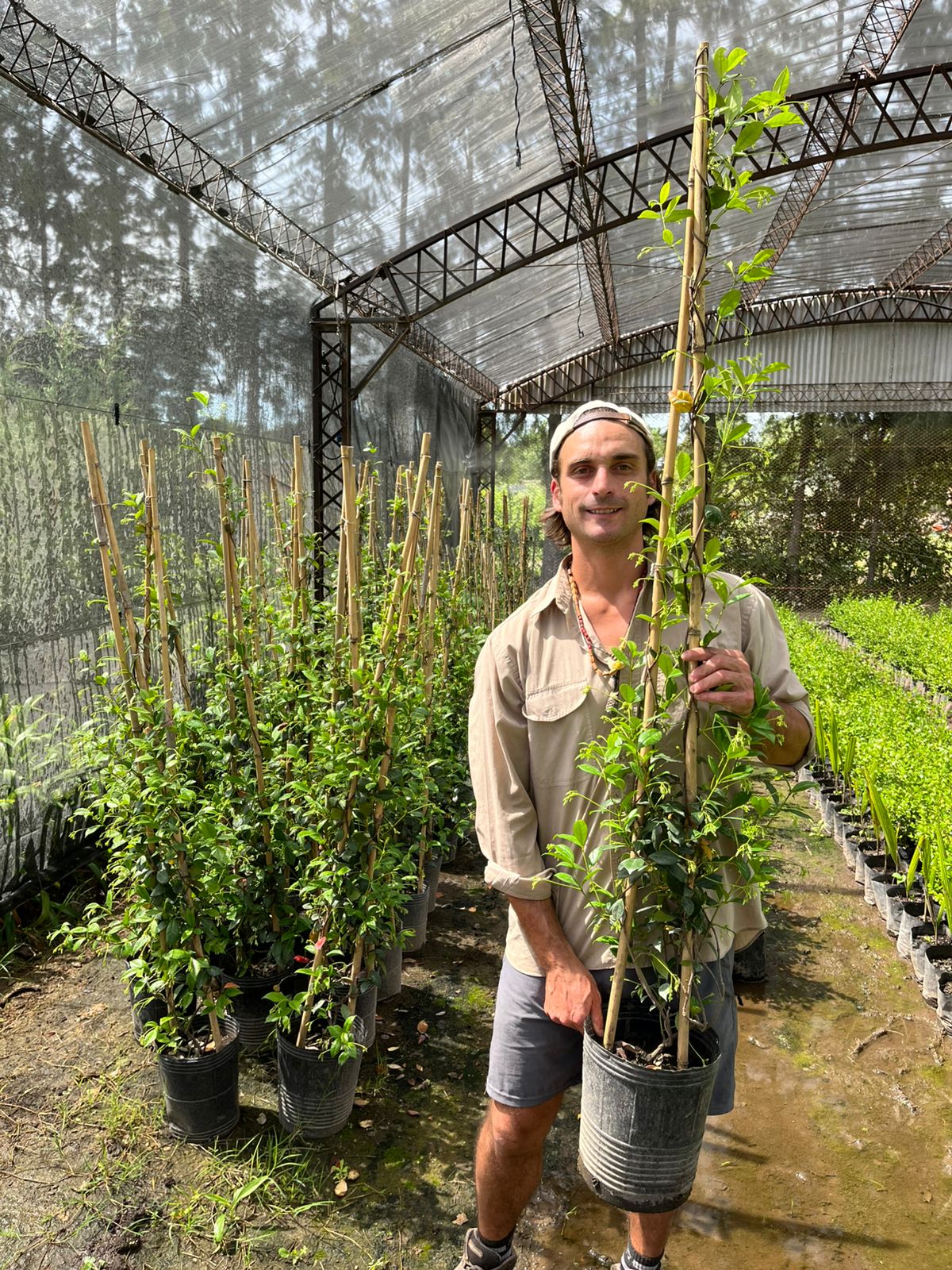 viveroiris.com.ar-IMG_0221