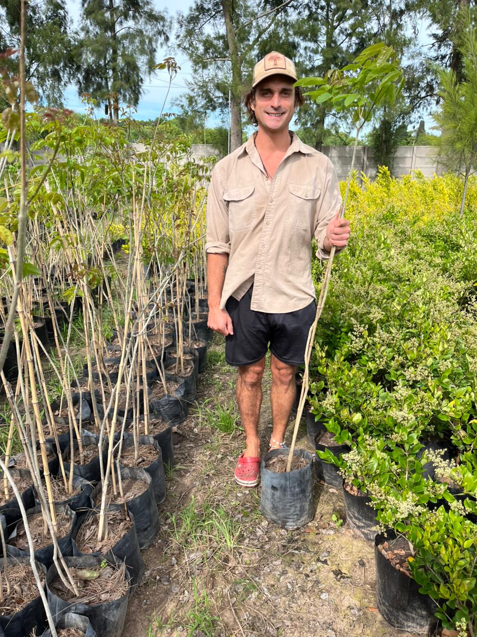 Pindo-viveroiris.com