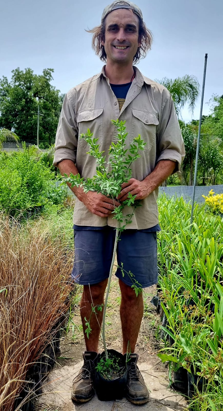 viveroiris.com.ar-IMG_0221