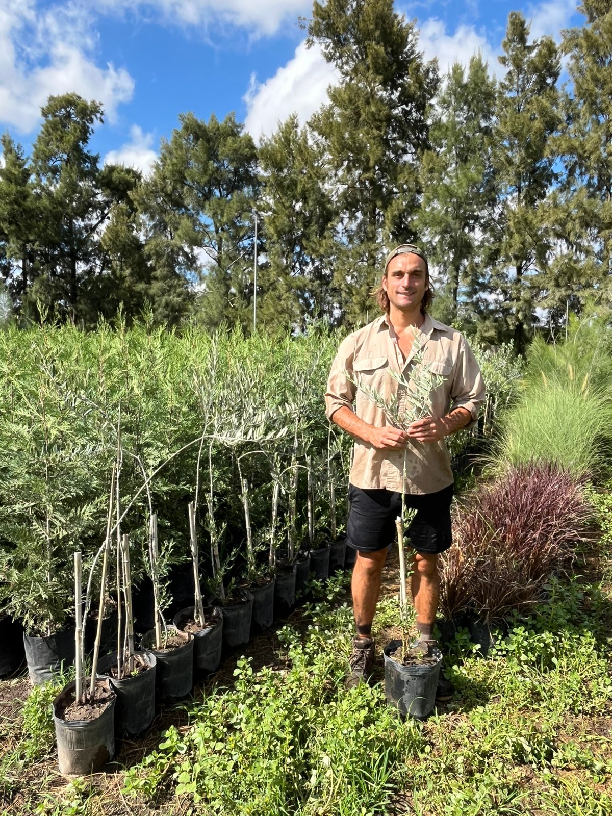 viveroiris.com.ar-IMG_0221