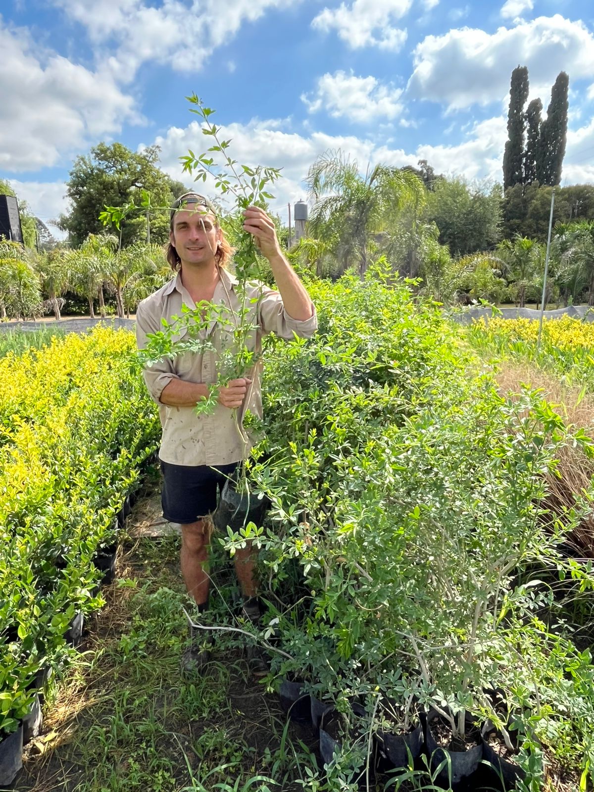 viveroiris.com.ar-IMG_0221