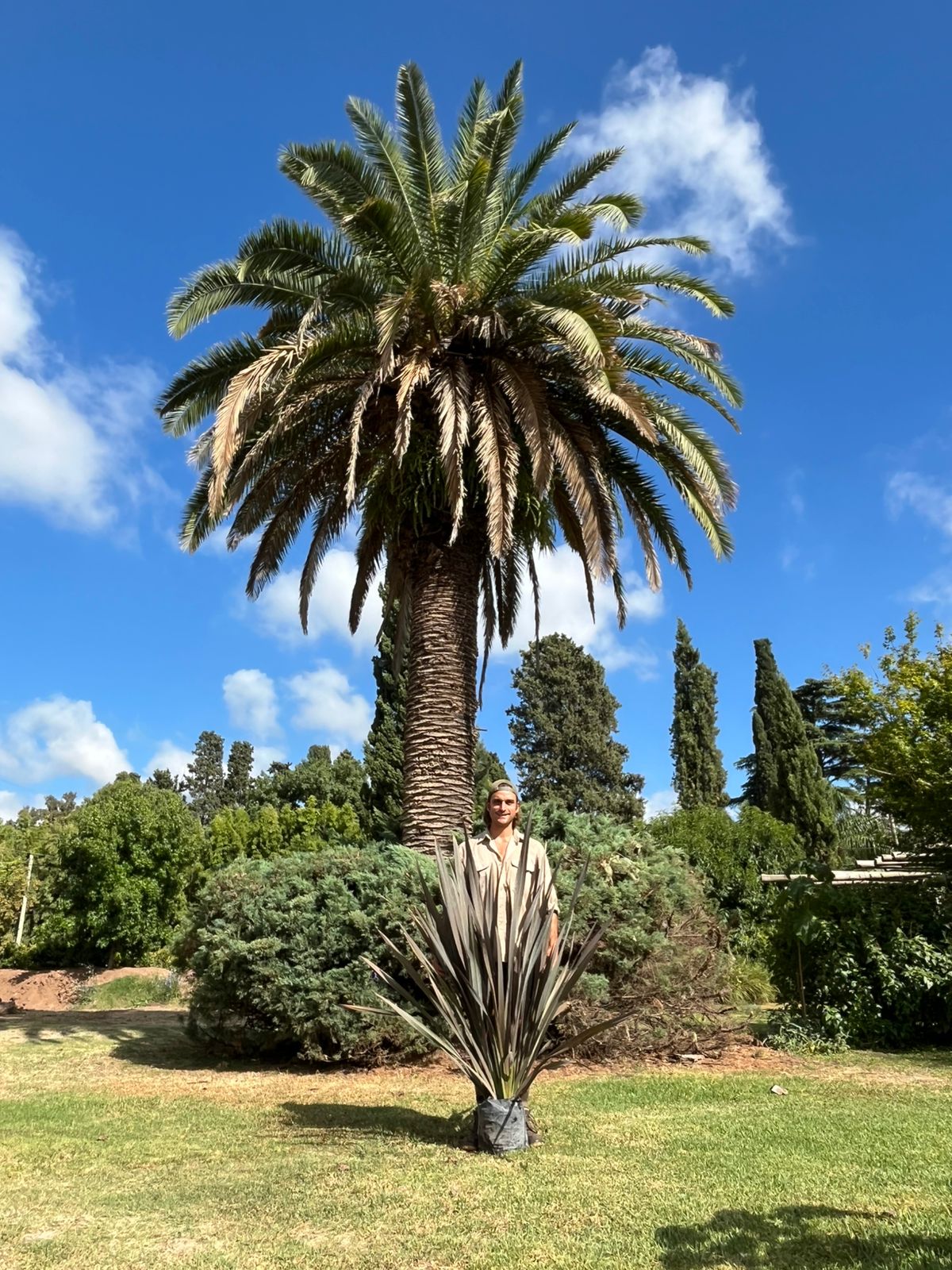 viveroiris.com.ar-IMG_0221